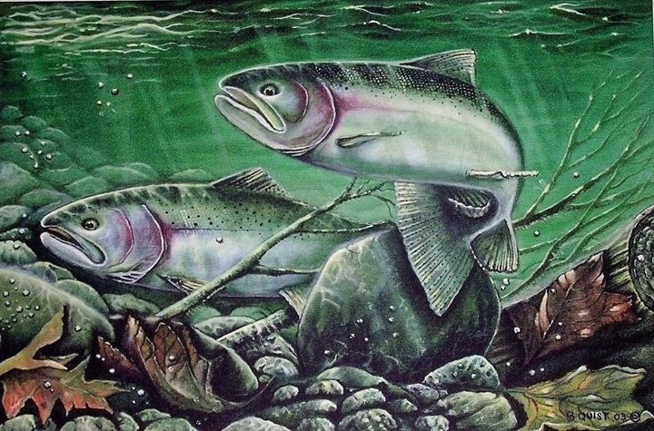 720x475 Steelhead - Steelhead Painting