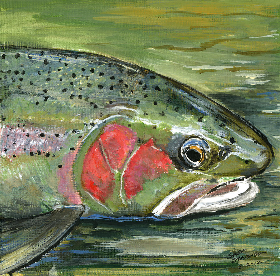 900x887 Steelhead Painting By Sara Stevenson - Steelhead Painting