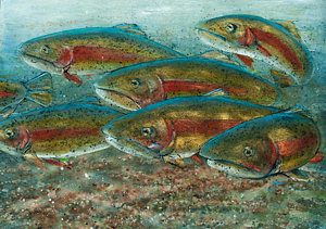300x211 Steelhead Paintings Fine Art America - Steelhead Painting