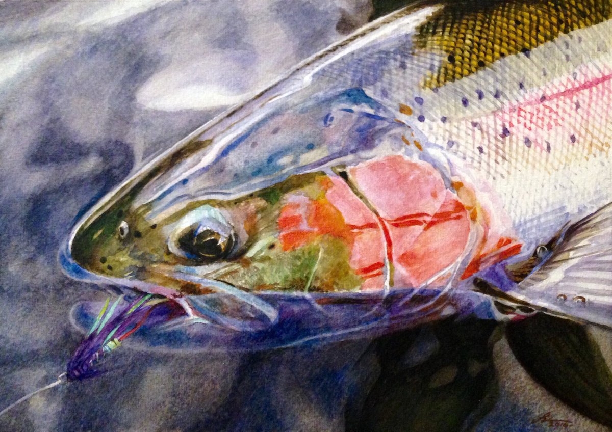 1200x848 Szente On Twitter Steelhead - Steelhead Painting