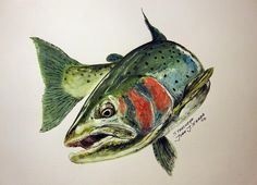236x170 Trout Painting - Steelhead Painting