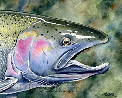 425x340 Steelhead Trout Fly Fishing Art Print Signed By - Steelhead Painting