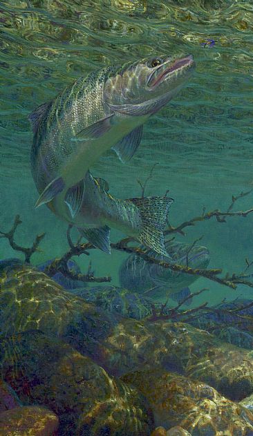 366x631 Steelhead Paintings - Steelhead Painting