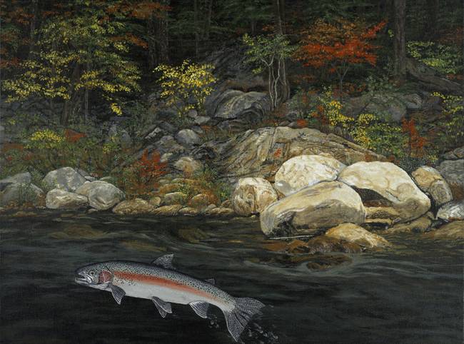 650x482 Fine Art Print Steelhead Run Fishing Fish Art By Baslee Troutman - Steelhead Painting