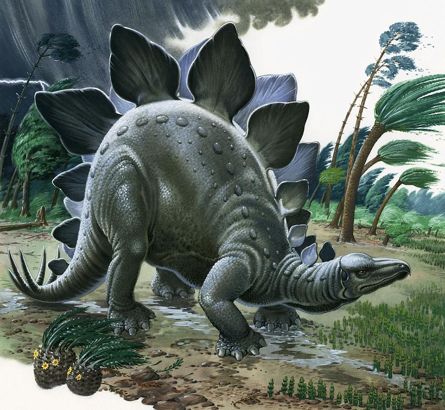 900x828 Stegosaurus Painting By English School - Stegosaurus Painting
