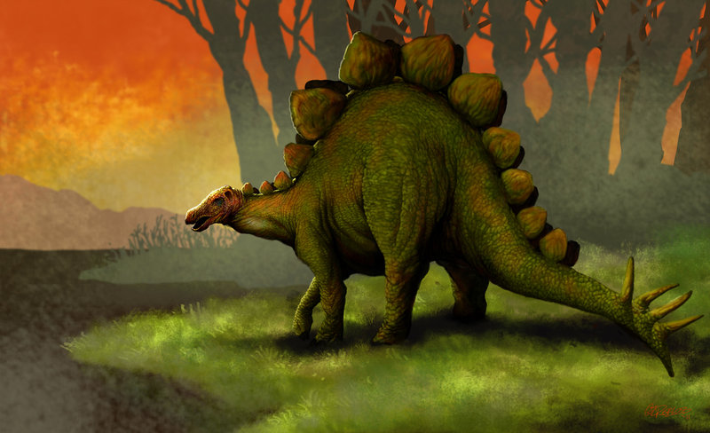 800x488 Stegosaurus By Grobles63 - Stegosaurus Painting