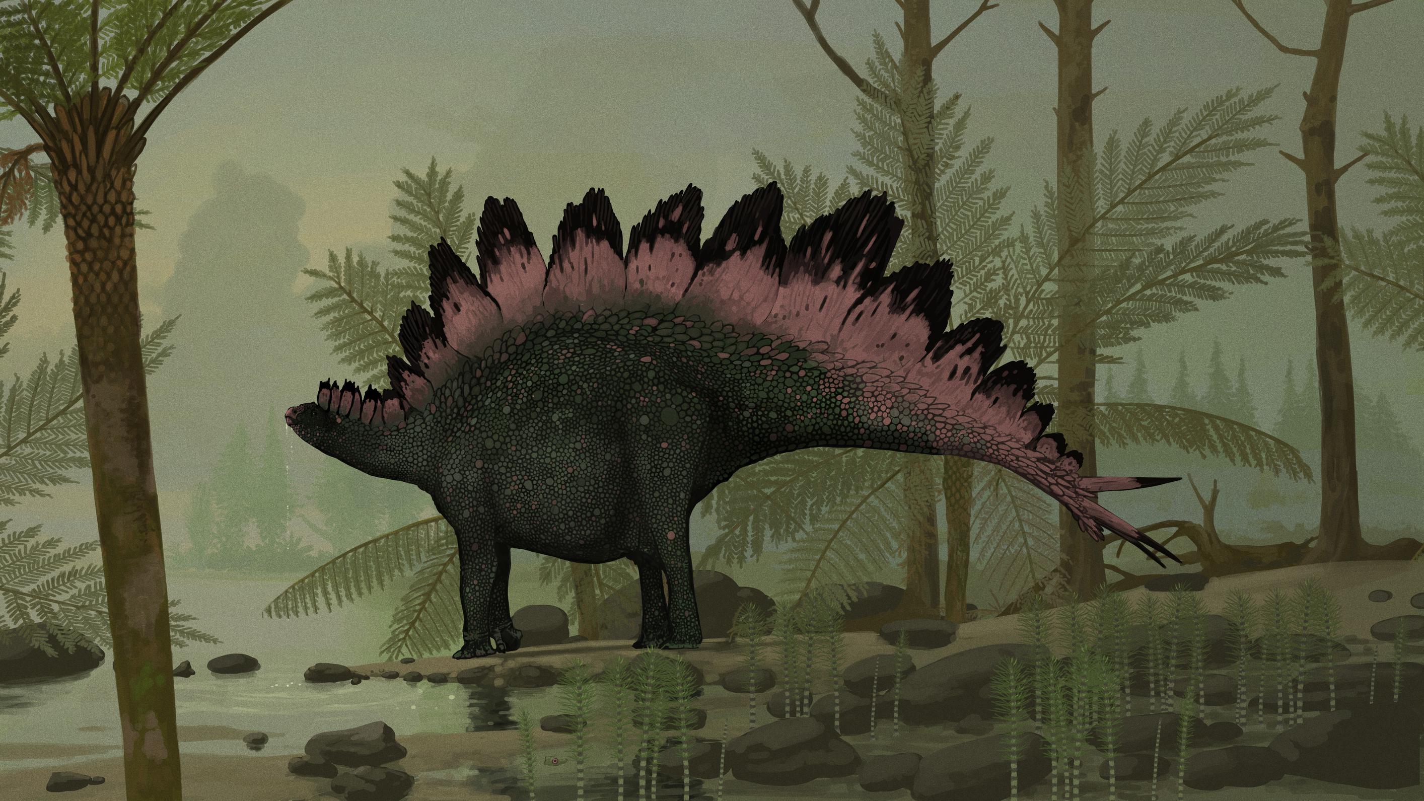 2828x1591 Stegosaurus Stenops By John Conway - Stegosaurus Painting