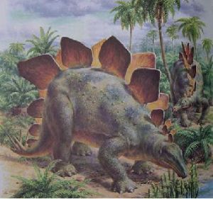 300x281 The First Ever Discovered European Stegosaurus - Stegosaurus Painting