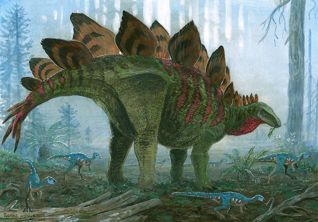 1280x894 Wallpaper Tuomas Koivurinne Dinosaurs Stegosaurus Pictorial Art - Stegosaurus Painting