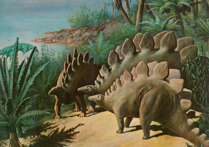 700x491 Image - Stegosaurus Painting