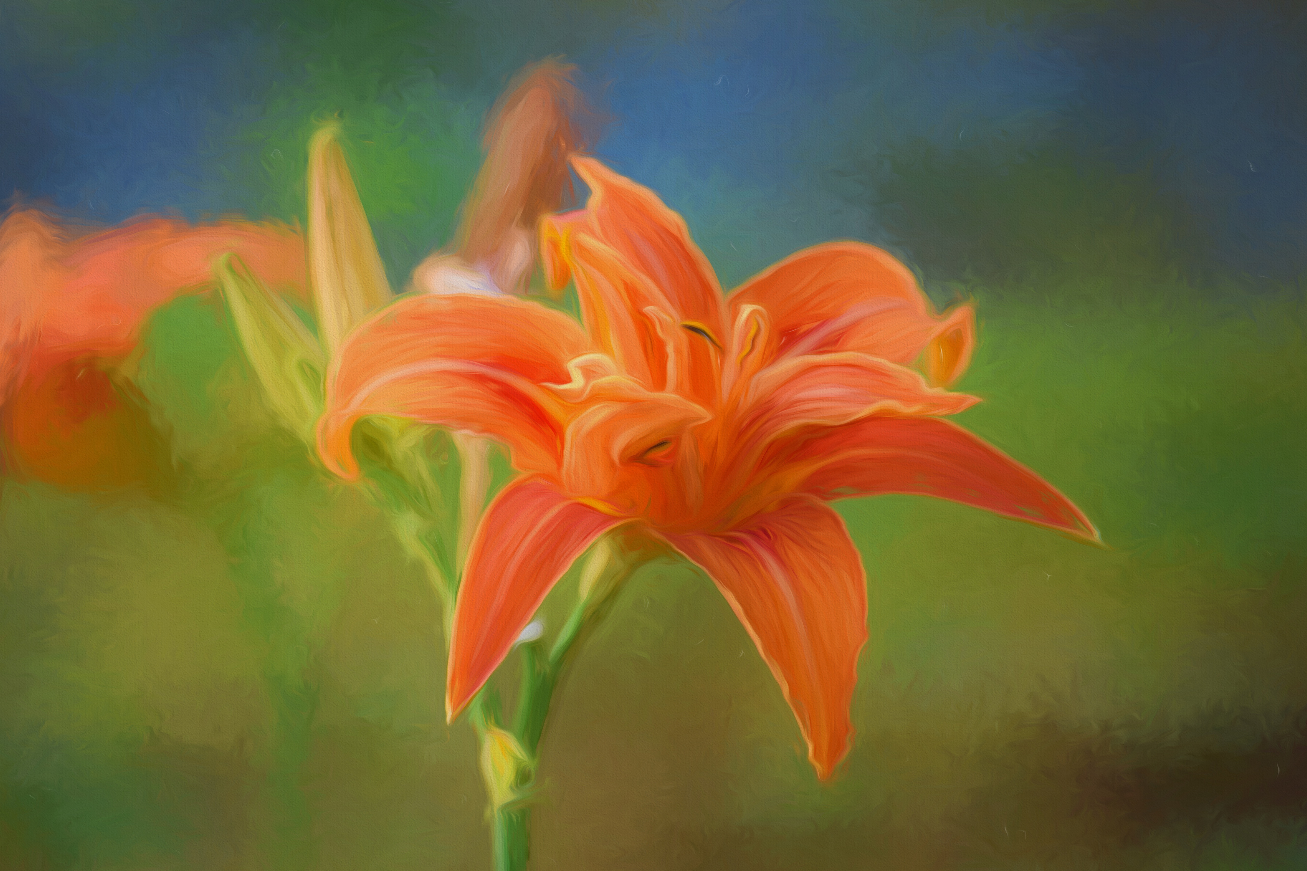 5315x3543 Free Images Blossom, Creative, Flower, Petal, Bloom, Orange - Stem Painting