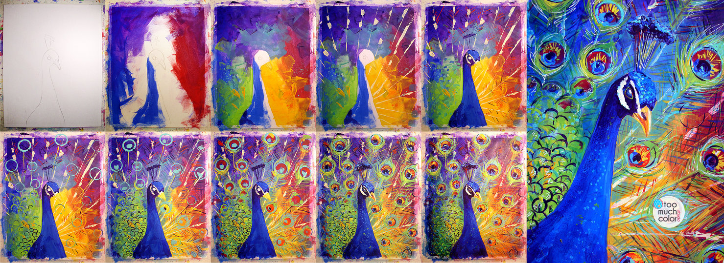 1479x539 Peacock Step By Step By Toomuchcolor - Step By Step Painting