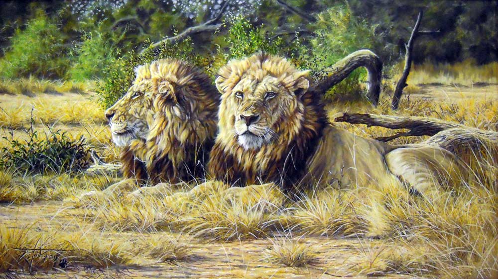 1000x561 Steve Jones Lion Pair (1140 X 650) (Sold) The Lonehill Art Gallery - Steve Jones Painting