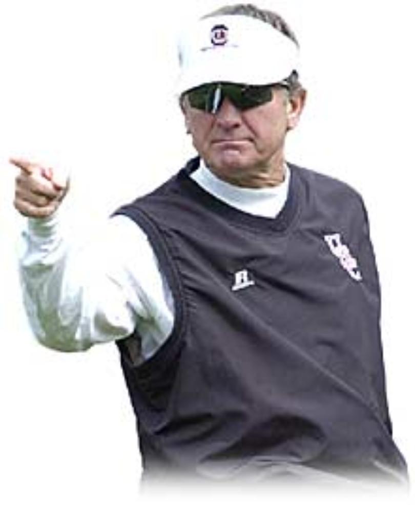 810x986 The Day I Met Steve Spurrier (Wink) - Steve Spurrier Painting