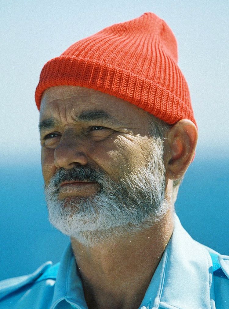 750x1009 Bill Murray In The Life Aquatic With Steve Zissou Beards Are - Steve Zissou Painting