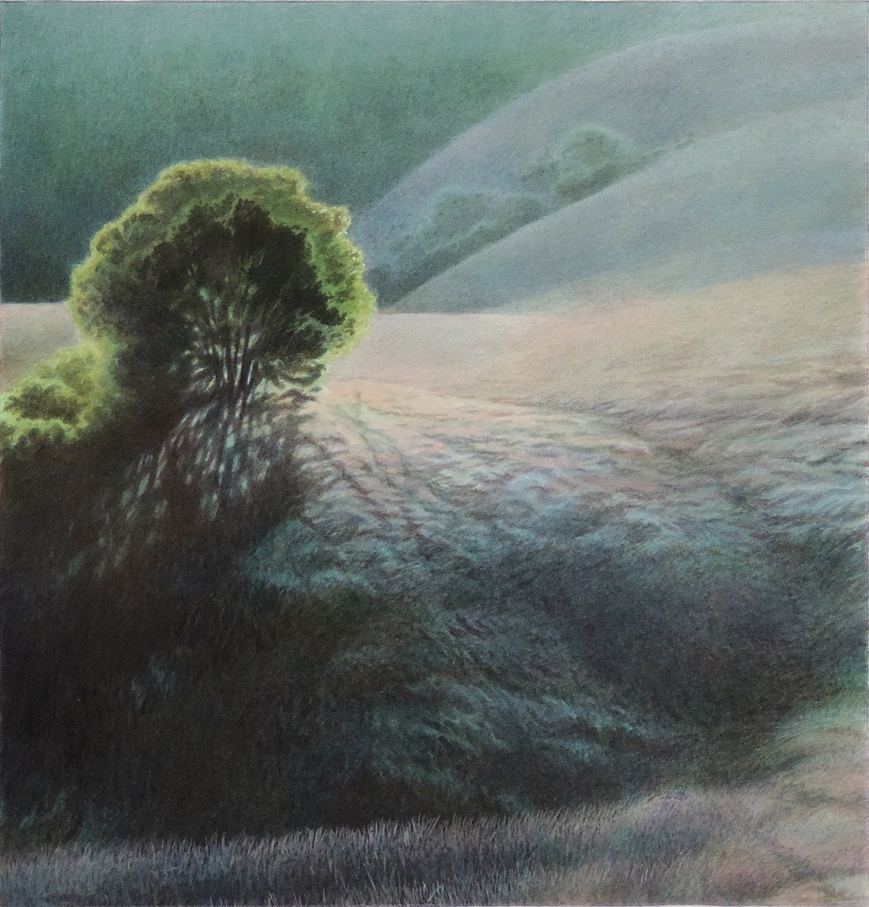 1249x1304 Steve's Night Painting From Out On Pine Mountain. Art In Progress - Steves Painting