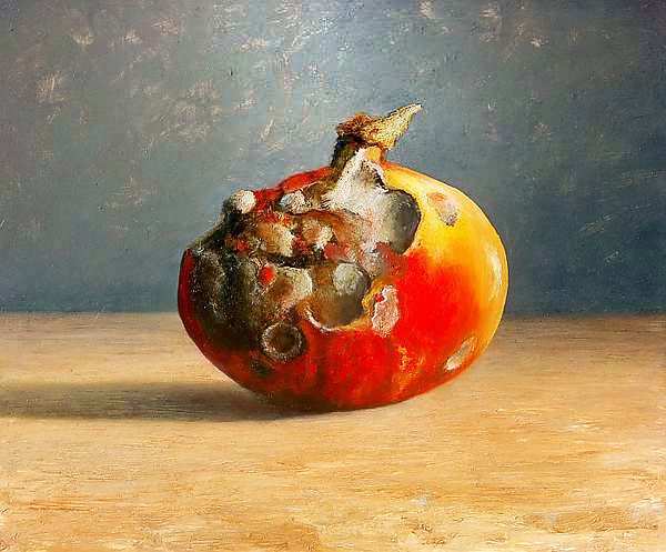 600x497 Still Life Decay - Still Life Painting Images