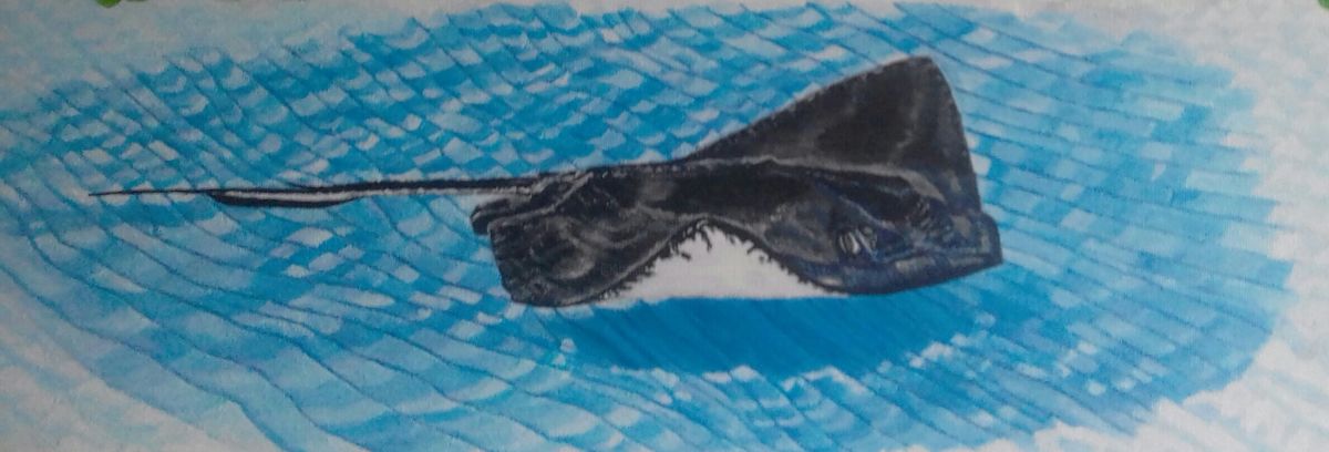 1200x408 Stingray (Ita Mercera) - Stingray Painting