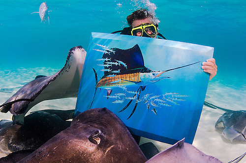 500x332 Guy Harvey With Waterproof Painting - Stingray Painting
