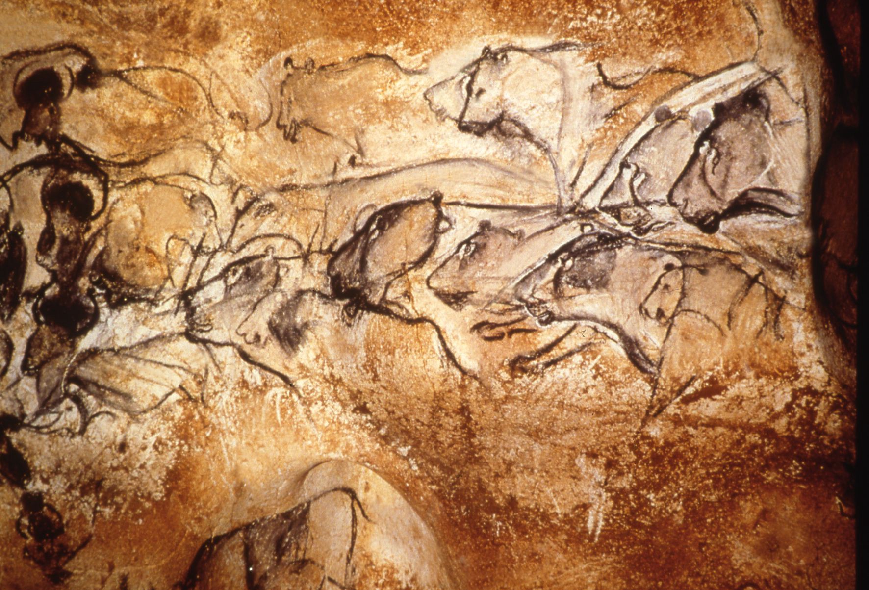 Stone Age Painting At Paintingvalley Com Explore Collection Of