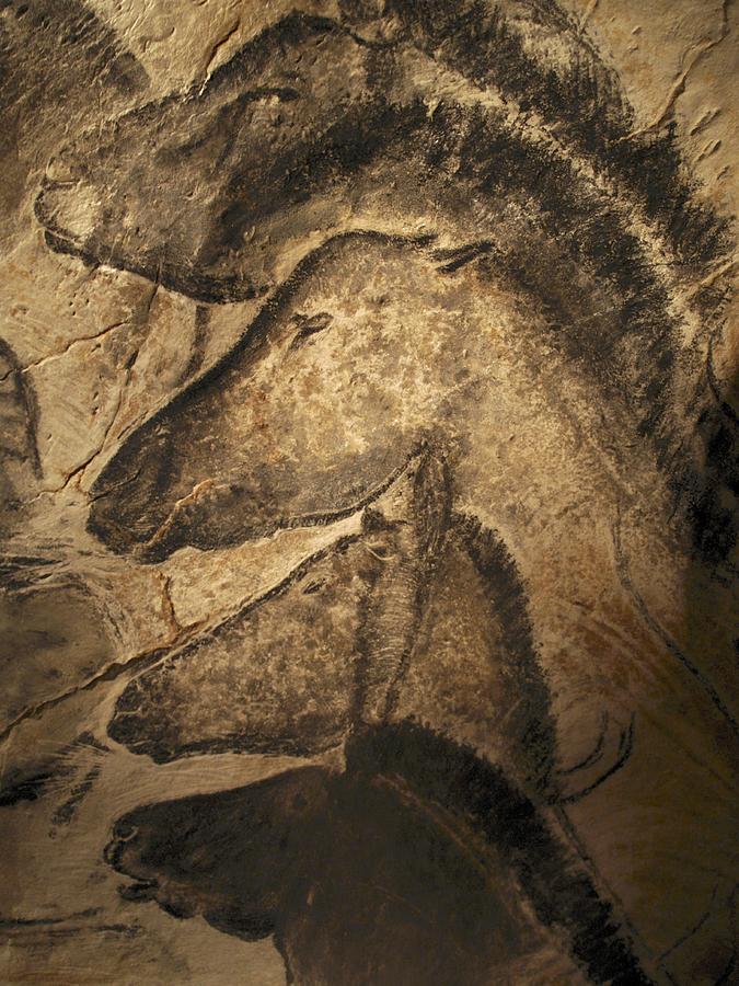 675x900 Stone Age Cave Paintings, Chauvet, France Photograph By Javier - Stone Age Painting