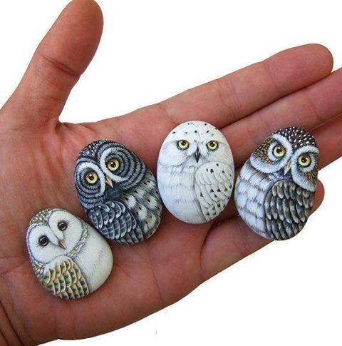 480x485 Diy Owl Stone Painting - Stone Painting
