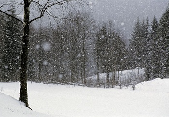 350x242 A Blog Of One's Own Advent Calendar Day 12 Miles To Go - Stopping By Woods On A Snowy Evening Painting