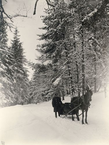 376x500 Stopping By The Woods On A Snowy Evening - Stopping By Woods On A Snowy Evening Painting
