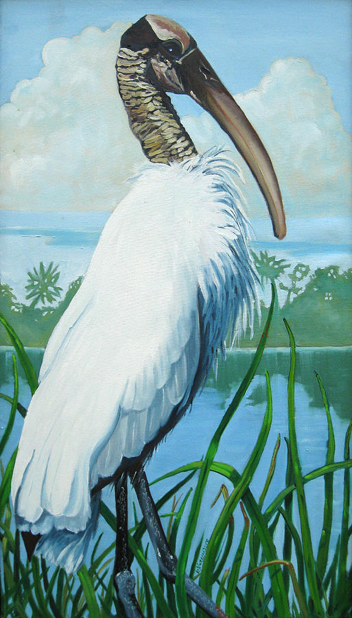 513x900 Wood Stork Painting By D T Lavercombe - Stork Painting