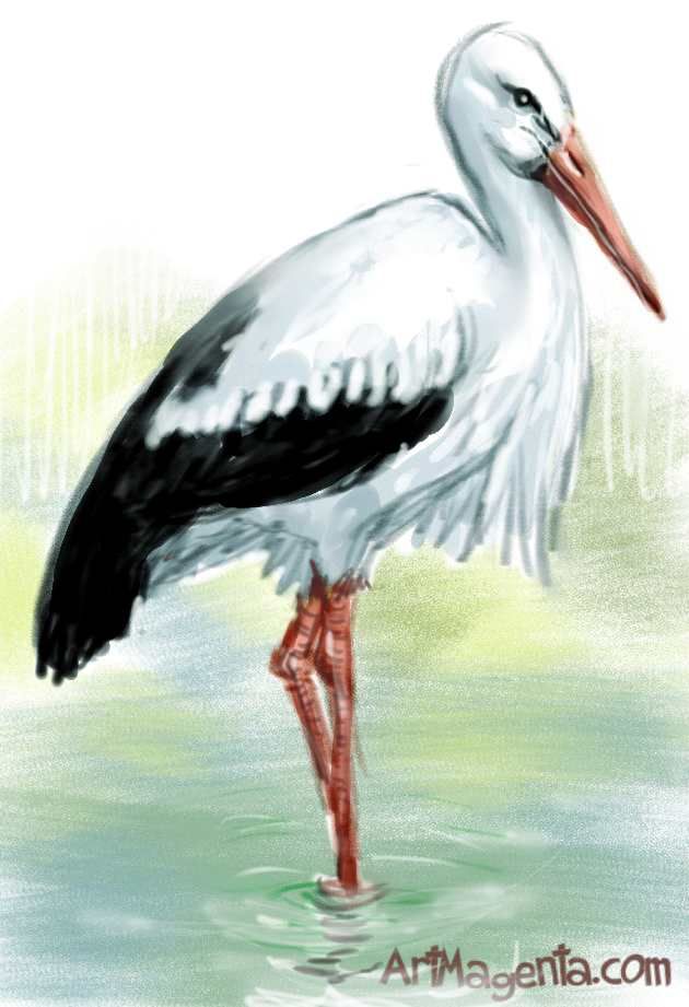 630x921 Stork Painting - Stork Painting