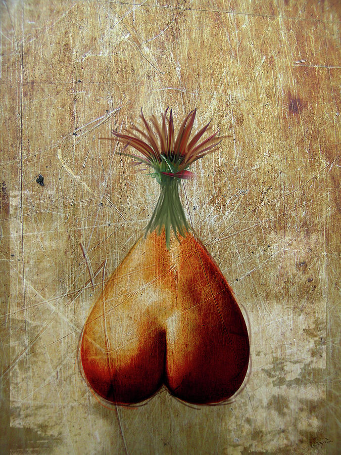 675x900 Strange Fruit Digital Art By Sophia Tsibikaki - Strange Fruit Painting