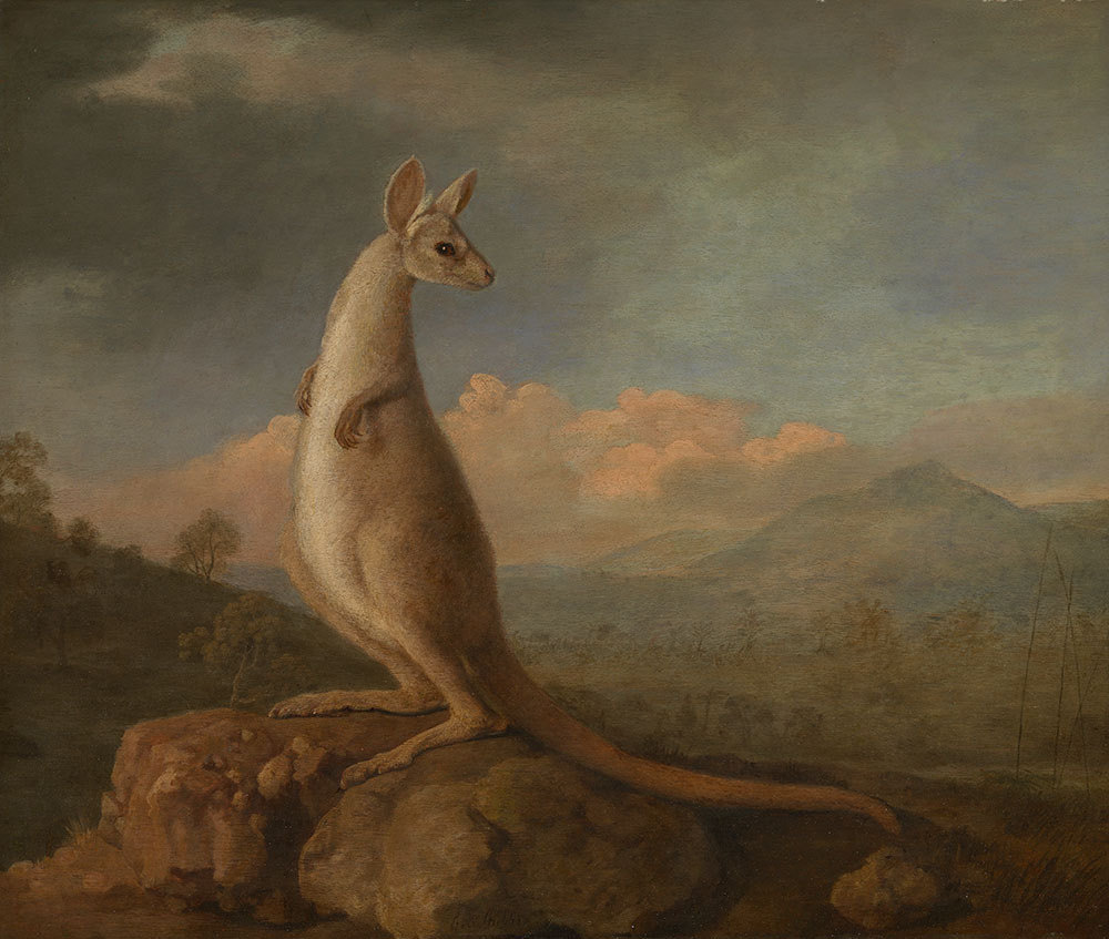 1000x847 Painting A Kangaroo When You'Ve Never Seen One - Strange Painting