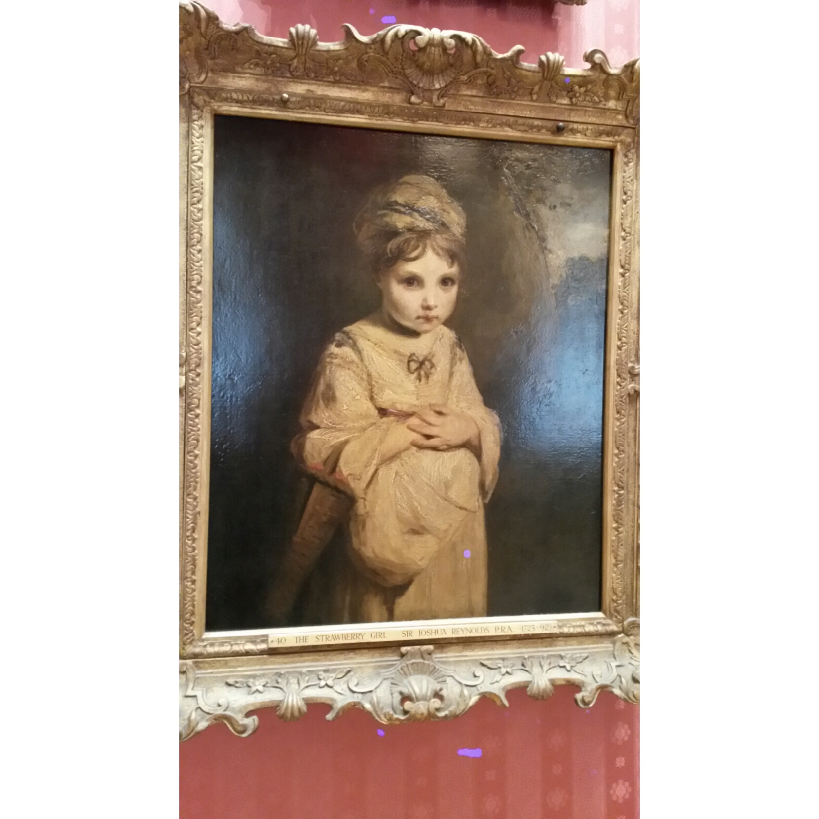 1660x1660 The Strawberry Girl The Intrepid Hound - Strawberry Girl Painting