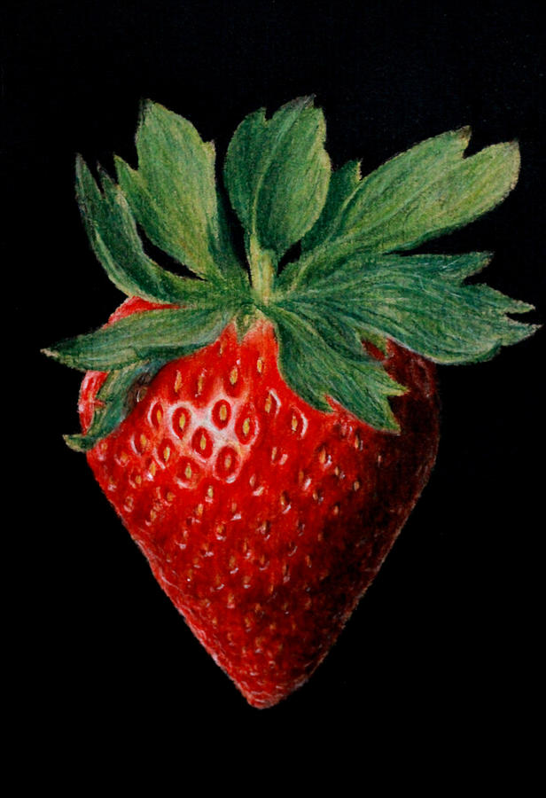 616x900 Strawberry - Strawberry Painting