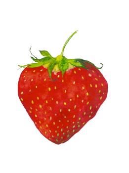 261x350 Strawberry Healing Painting - Strawberry Painting