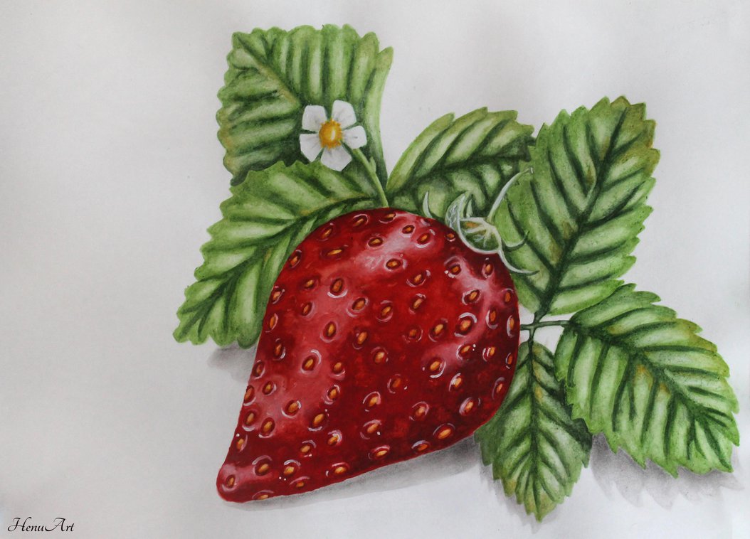 1054x758 Strawberry Painting By Henu96 - Strawberry Painting
