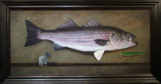 560x293 Striped Bass Art By Artist Jim Roszel - Striped Bass Painting