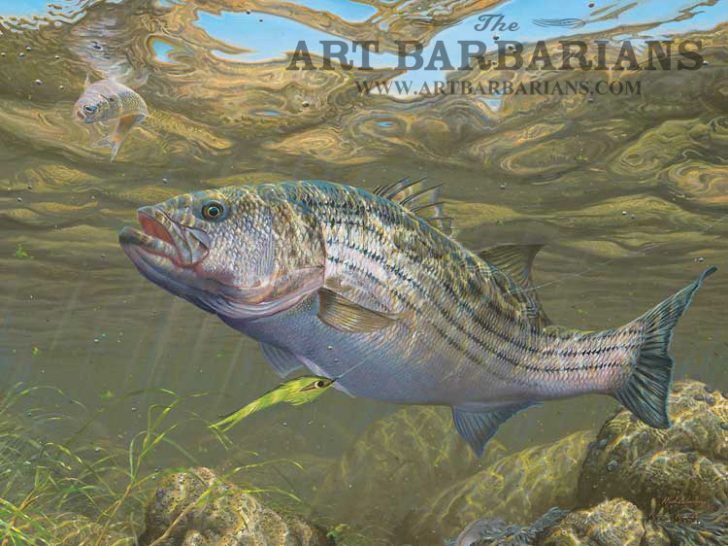 728x546 Striped Bass Painting ~ Wcdf - Striper Painting