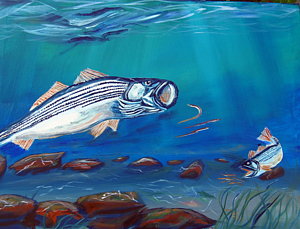300x229 Striper Paintings Fine Art America - Striper Painting
