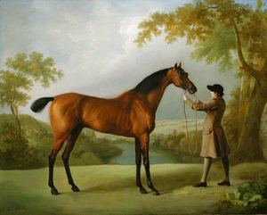 300x241 George Stubbs Reproductions For Sale 1st Art Gallery - Stubbs Painting