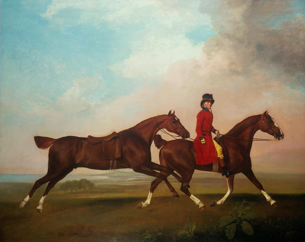 1010x801 George Stubbs And Horse Painting - Stubbs Painting