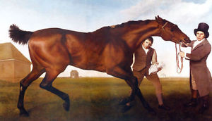 300x172 Hambletonian Rubbing Down Race Horse Painting By Stubbs On Paper - Stubbs Painting