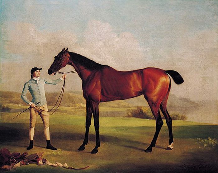 700x554 Molly Longlegs, 1762 - Stubbs Painting