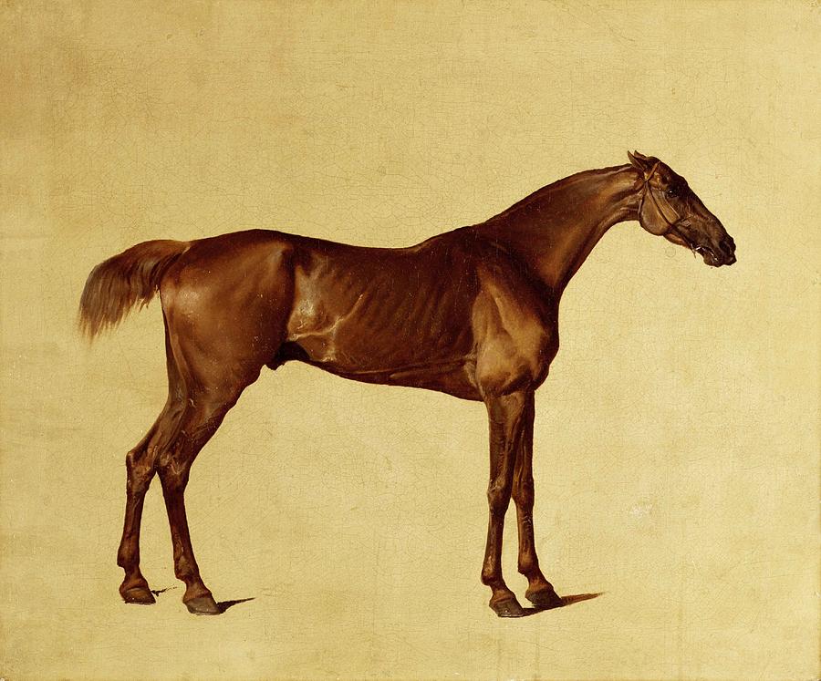 900x747 Rufus Painting By George Stubbs - Stubbs Painting