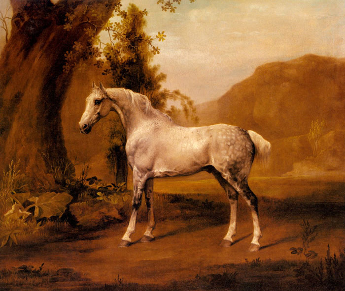 700x592 A Grey Stallion In A Landscape, C.1765 - Stubbs Painting