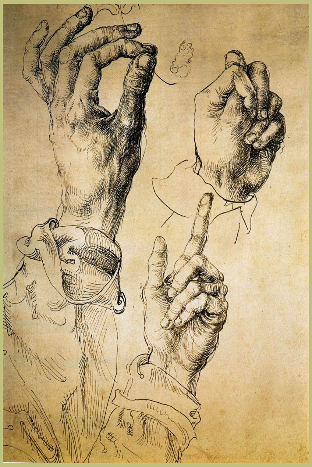 1024x1531 Study Of Hands Albrecht Durer Biblioklept - Study Of Hands Painting