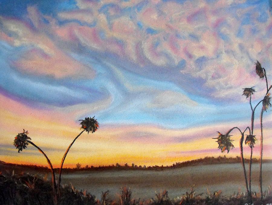 900x679 Ah Sunflower. Dried Sunflower Heads With Stylized Sky Backdrop - Stylized Painting