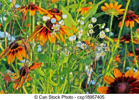 450x324 Oil Painting Stylized Photo Of Flowers In The Meadow. Colorful - Stylized Painting