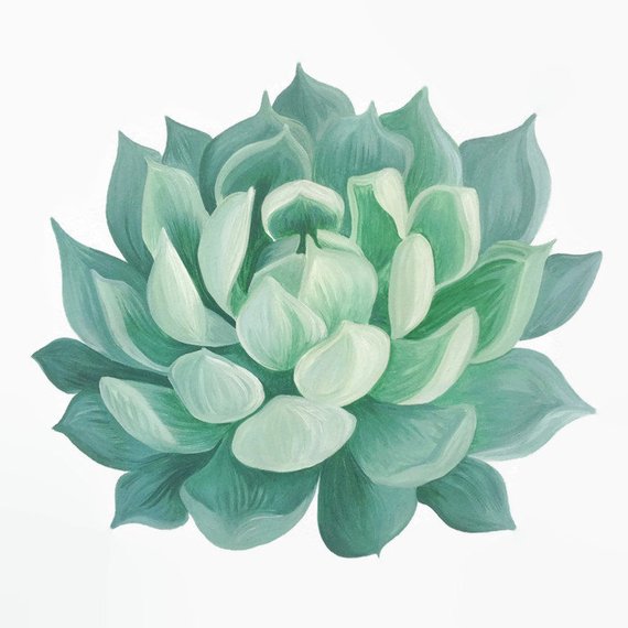 570x570 Succulent Print Succulent Painting Succulent Illustration - Succulent Painting
