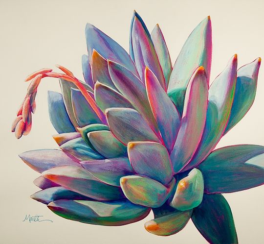 540x498 Sunburst - Succulent Painting